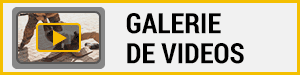 Galerie de vidéos